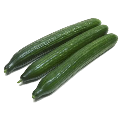 Краставица БГ
