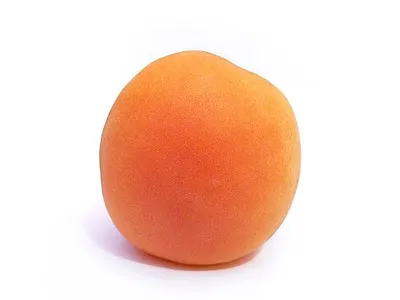 Кайсия
