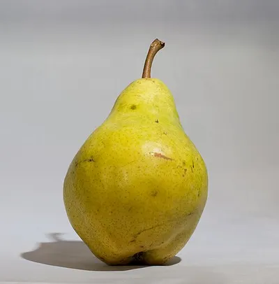 Круша