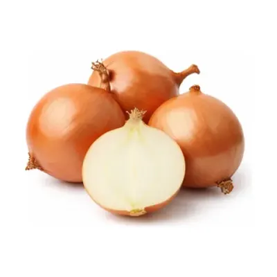 Лук