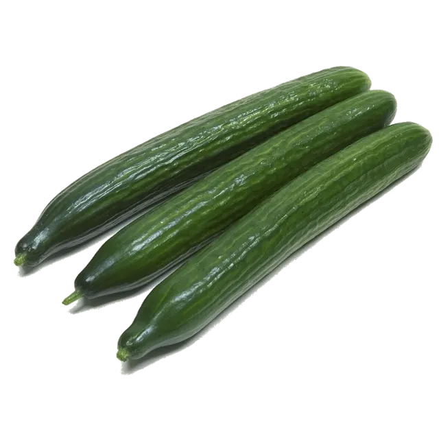Краставица БГ
